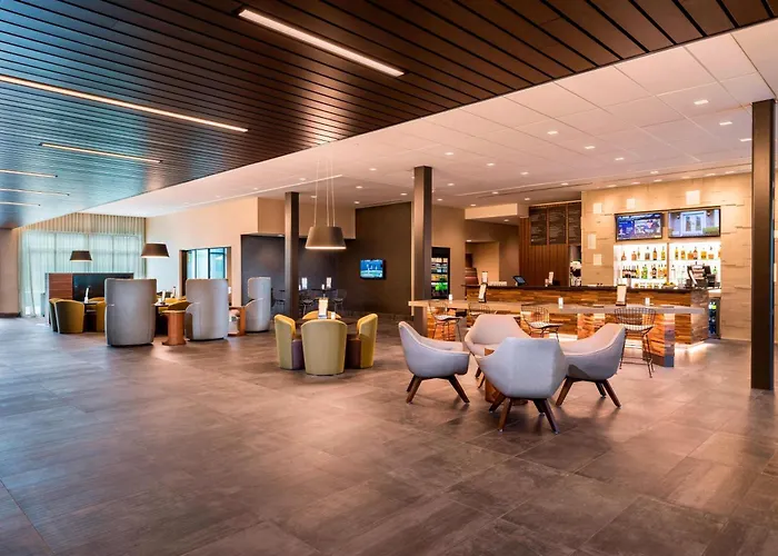 Courtyard By Marriott Tampa Northwest/Veterans Expressway